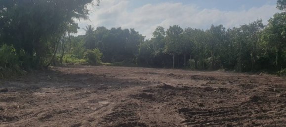  Land in Ko Samui, Thailand No. 33476 4