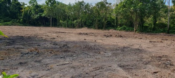  Land in Ko Samui, Thailand No. 33476 2