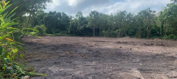  Land in Ko Samui, Thailand No. 33476 5