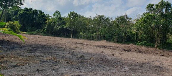  Land in Ko Samui, Thailand No. 33476 3