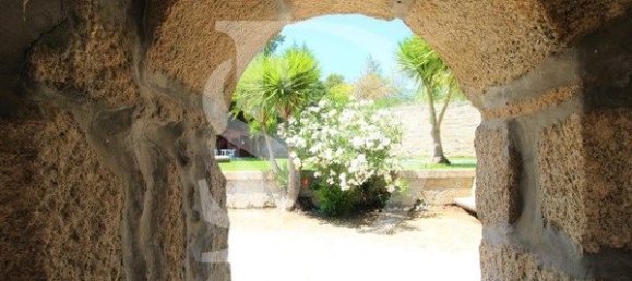 20 bedrooms House in Abrunhosa a Velha, Portugal No. 41363 9