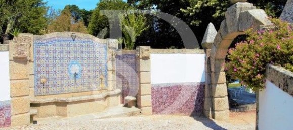 20 bedrooms House in Abrunhosa a Velha, Portugal No. 41363 13