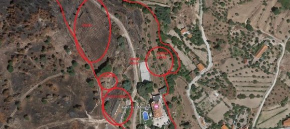 20 bedrooms House in Abrunhosa a Velha, Portugal No. 41363 12