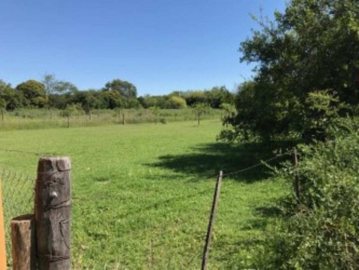 Grundstück in Cordoba, Argentina, Nr. 48727