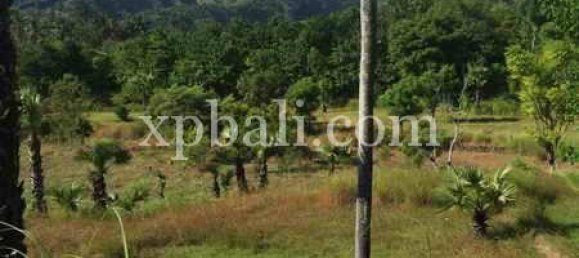 Terreno en East Balikpapan, Indonesia 10620 m² No. 4160 6