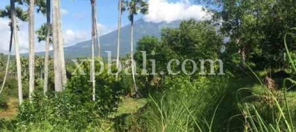 Terreno en East Balikpapan, Indonesia 10620 m² No. 4160 7