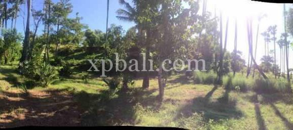 Terreno en East Balikpapan, Indonesia 10620 m² No. 4160 4