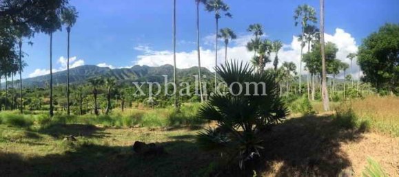 Terreno en East Balikpapan, Indonesia 10620 m² No. 4160 2