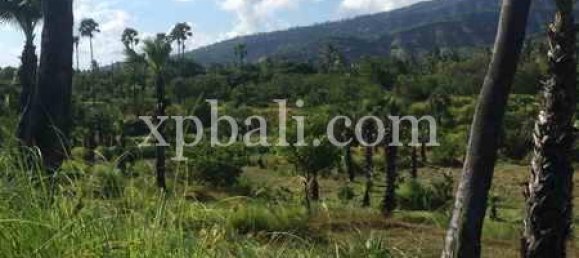 Terreno en East Balikpapan, Indonesia 10620 m² No. 4160 5