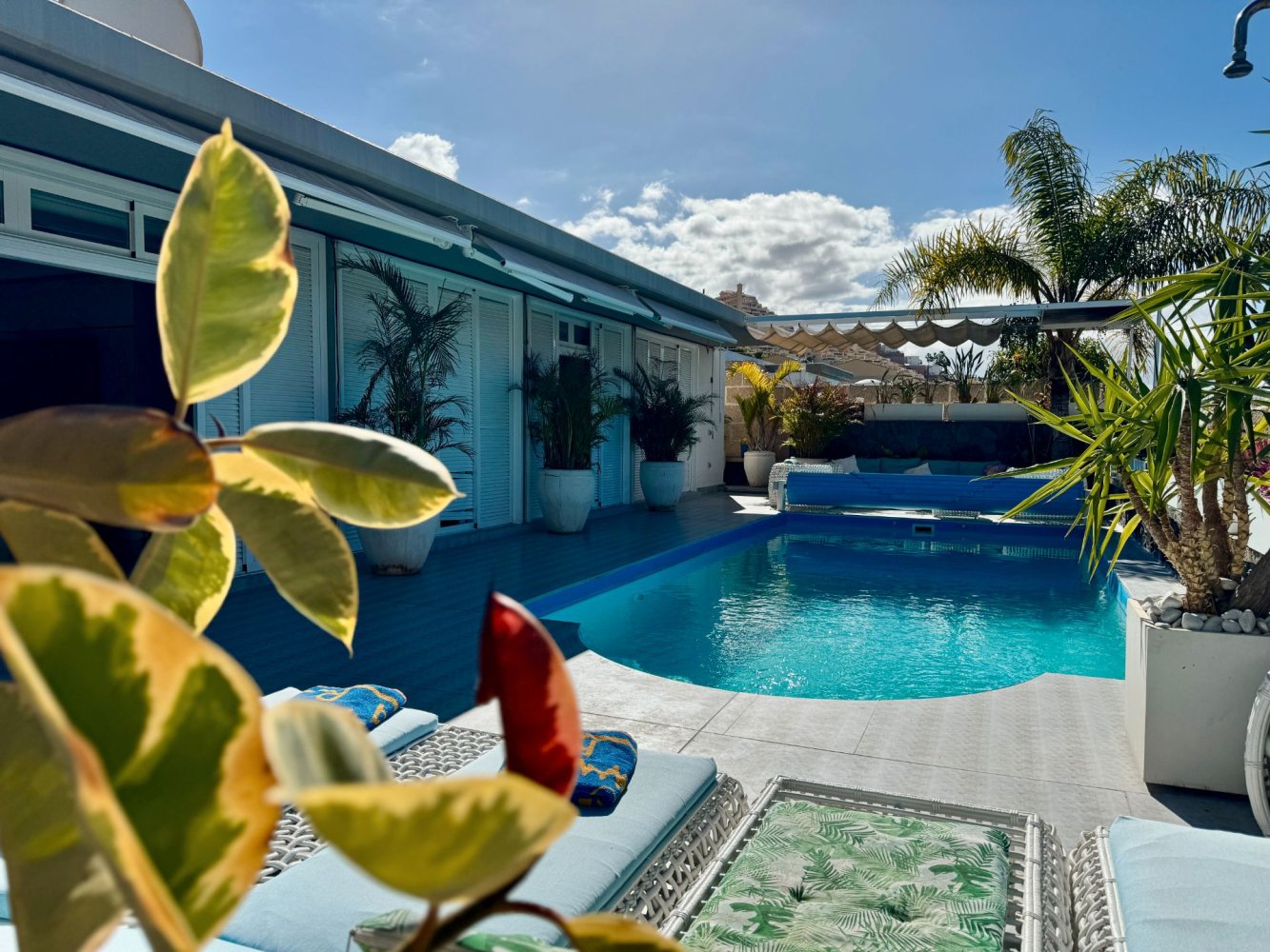 4 chambres Villa à Adeje, Spain No. 126322