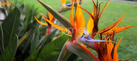 7 Schlafzimmer Haus in Tavarede, Portugal, Nr. 117583 22