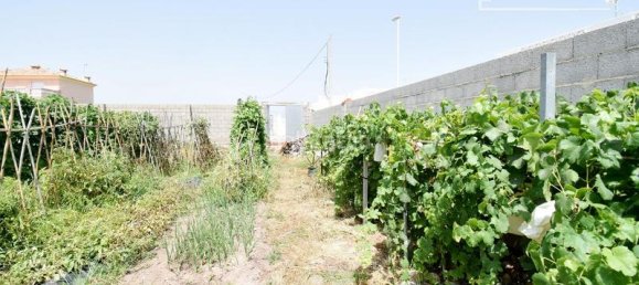  قطعة أرض في Moncofa, Spain 251متر مربع رقم 116411 45