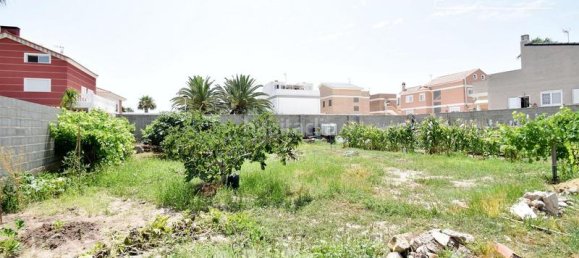  قطعة أرض في Moncofa, Spain 251متر مربع رقم 116411 38