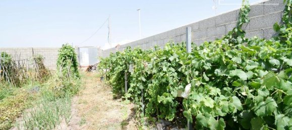  قطعة أرض في Moncofa, Spain 251متر مربع رقم 116411 46