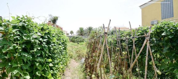  قطعة أرض في Moncofa, Spain 251متر مربع رقم 116411 19