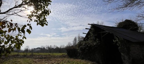 6-Zimmer Haus in Maine-et-Loire, France, Nr. 175652 13