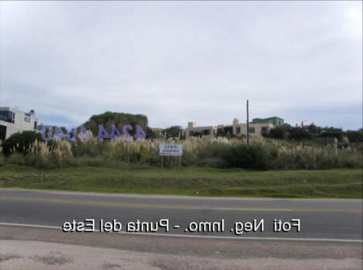  Land in Maldonado, Uruguay No. 15631