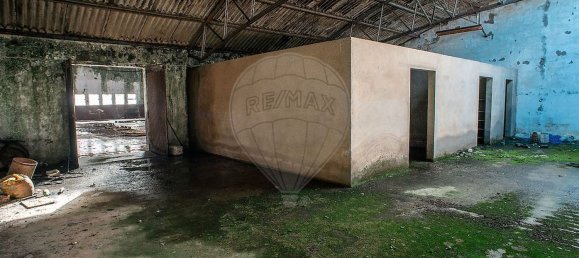  مستودع في Cadaval, Portugal 4359متر مربع رقم 70618 28