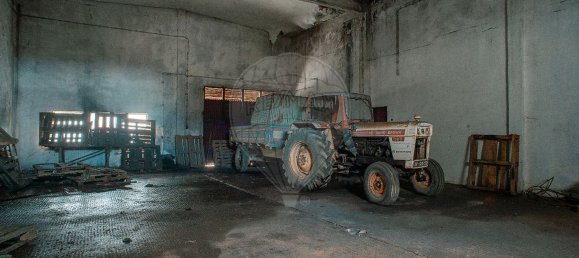  مستودع في Cadaval, Portugal 4359متر مربع رقم 70618 23