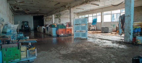  مستودع في Cadaval, Portugal 4359متر مربع رقم 70618 32