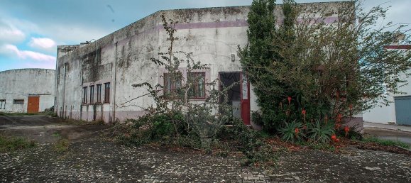  مستودع في Cadaval, Portugal 4359متر مربع رقم 70618 11