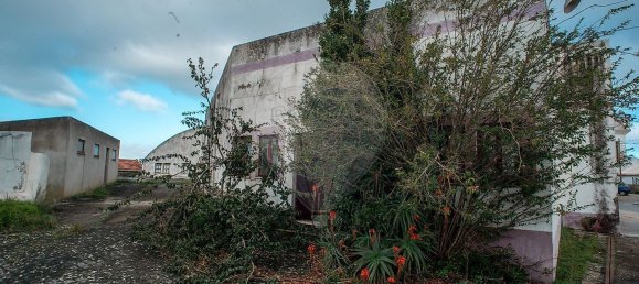  مستودع في Cadaval, Portugal 4359متر مربع رقم 70618 12