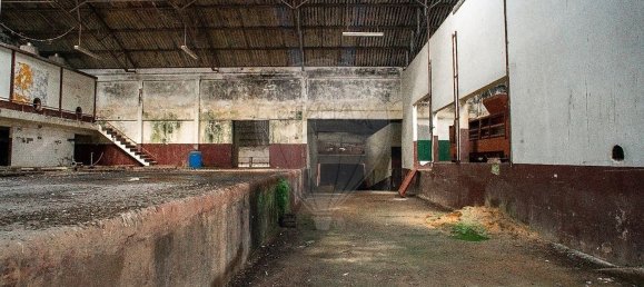  مستودع في Cadaval, Portugal 4359متر مربع رقم 70618 18