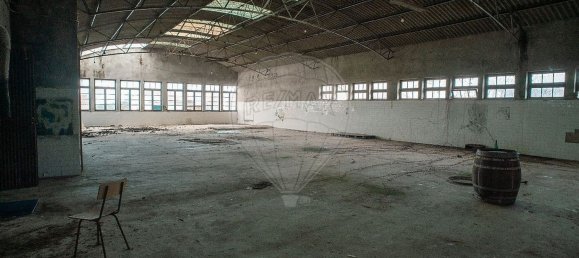  مستودع في Cadaval, Portugal 4359متر مربع رقم 70618 5