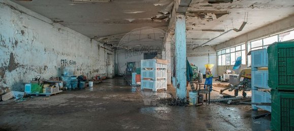  مستودع في Cadaval, Portugal 4359متر مربع رقم 70618 33