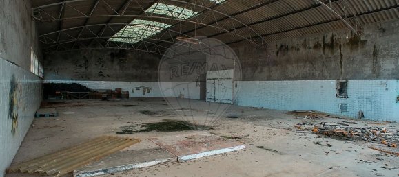  مستودع في Cadaval, Portugal 4359متر مربع رقم 70618 3