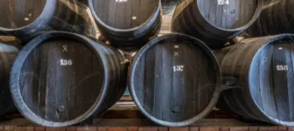 4 chambres Propriété commerciale à Alhendin, Spain No. 181228 24