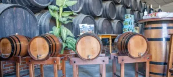 4 chambres Propriété commerciale à Alhendin, Spain No. 181228 48