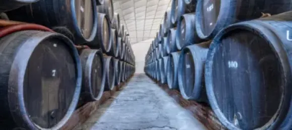 4 chambres Propriété commerciale à Alhendin, Spain No. 181228 22