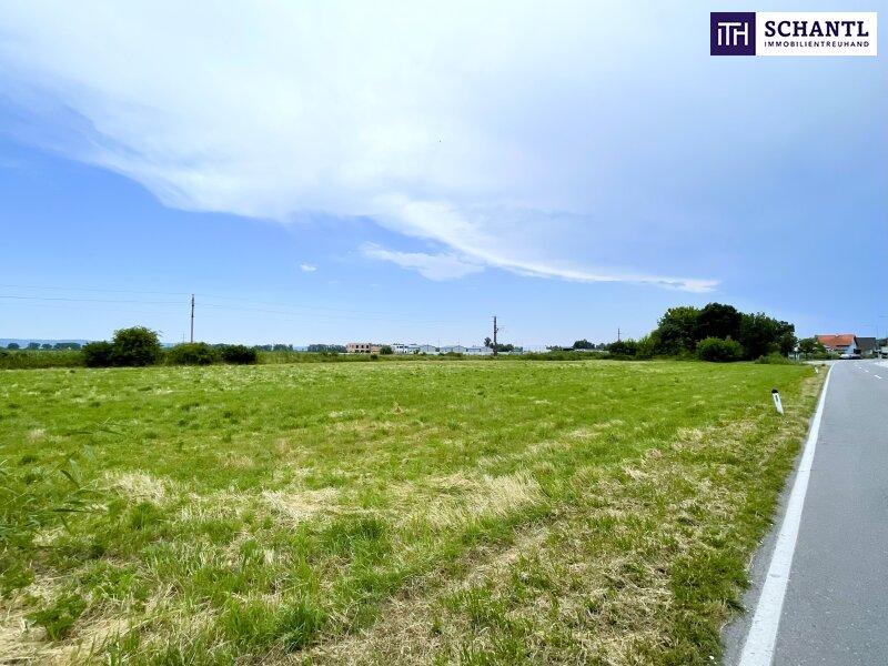 Terreno en Mitterndorf an der Fischa, Austria No. 255191