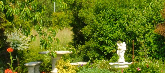 2 bedrooms House in Jerichower Land, Germany No. 183577 4