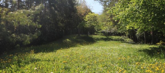 8-Zimmer Villa in Hagenbrunn, Austria, Nr. 255903 36