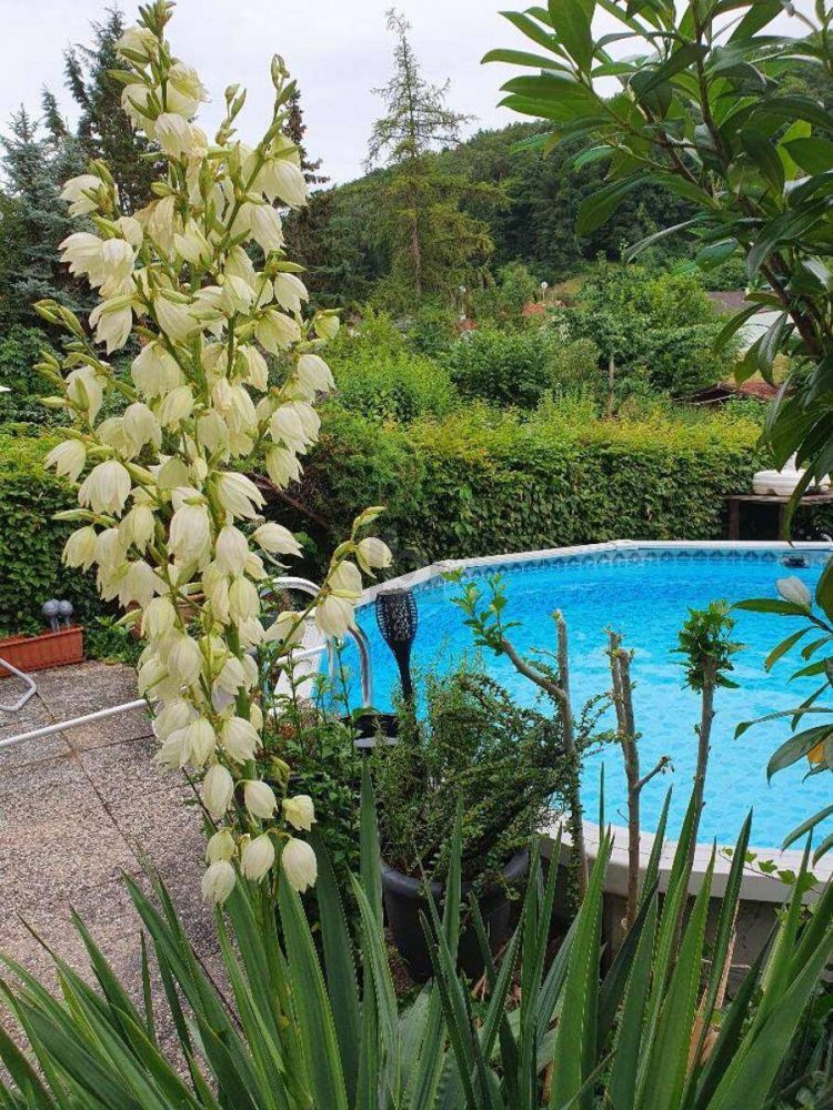 Таунхаус с 4 комнатами в Кремс ан дер Донау, Австрия № 233357