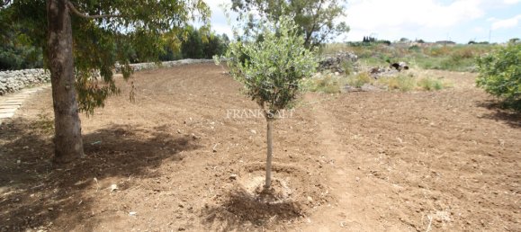 Casa T2 em Qormi, Malta N.º 9544 18