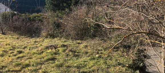  Land in Pyrenees-Orientales, France No. 284843 3