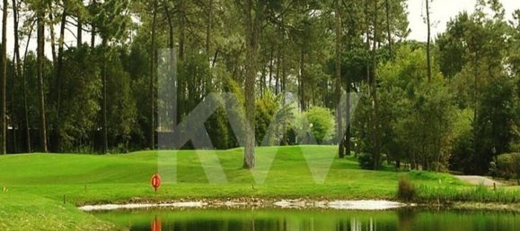 1611m² Commercial property in Gemeses, Portugal No. 66755 13