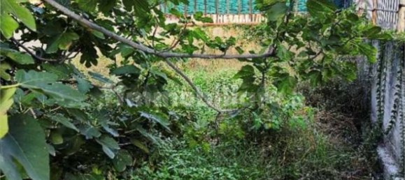 2 Schlafzimmer Villa in Carini, Italy, Nr. 321995 19