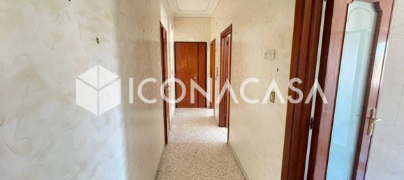 2 rooms Apartment in Molfetta, Italy No. 270224 12