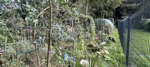 5-salle Appartement à Forbach, France No. 49988 19