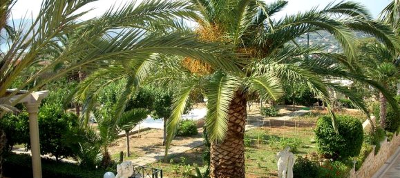 7 bedrooms Villa in Anavyssos, Greece No. 7784 29