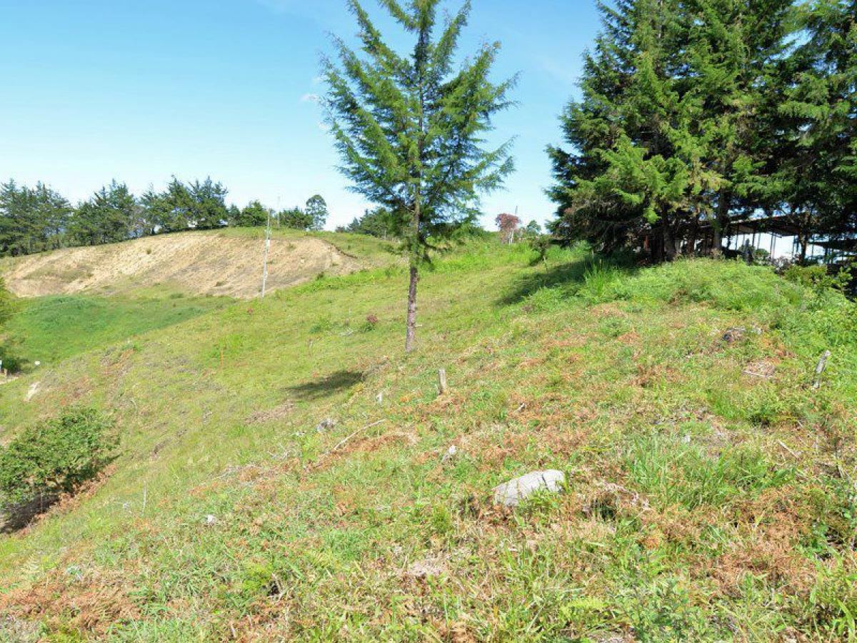  Land in Antioquia, Colombia No. 315