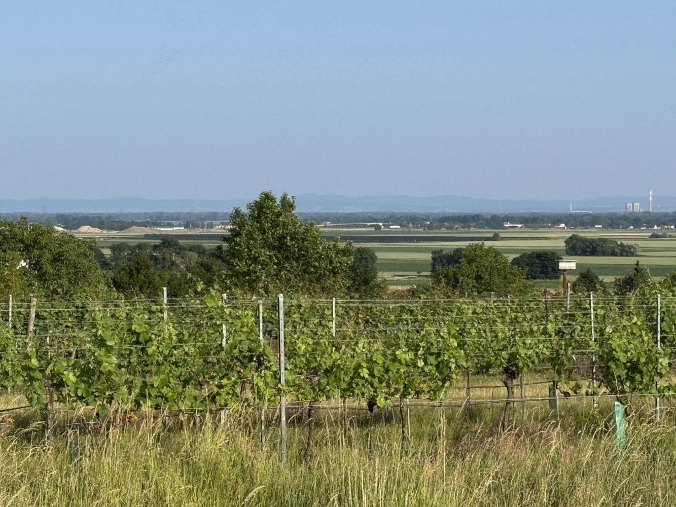 Земельный участок в Фельс ам Ваграм, Австрия № 130098