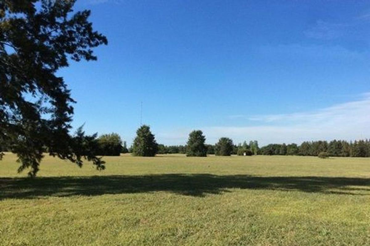  Land in Pilar, Argentina No. 36607