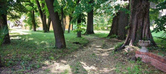 6 rooms House in Manta, Italy No. 163973 18