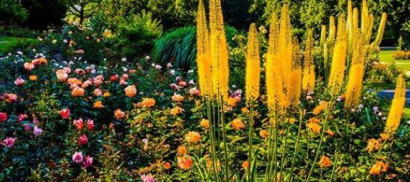 Estudio en Munich, Germany No. 250901 8