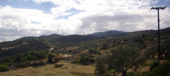 Отель, гостиница в Закинтос, Греция № 475 4